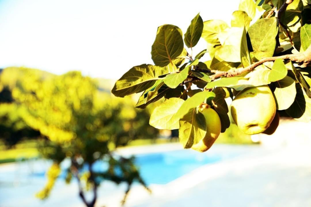Pir Efes Konaklari * Izmir