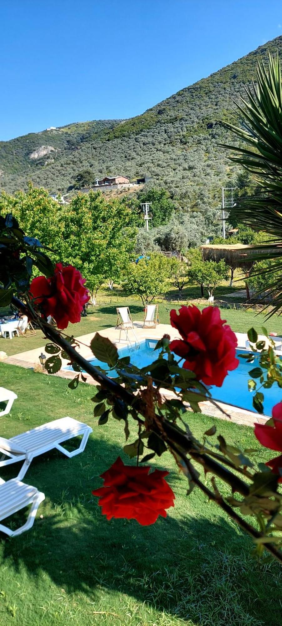 Pir Efes Konaklari Hotel Izmir