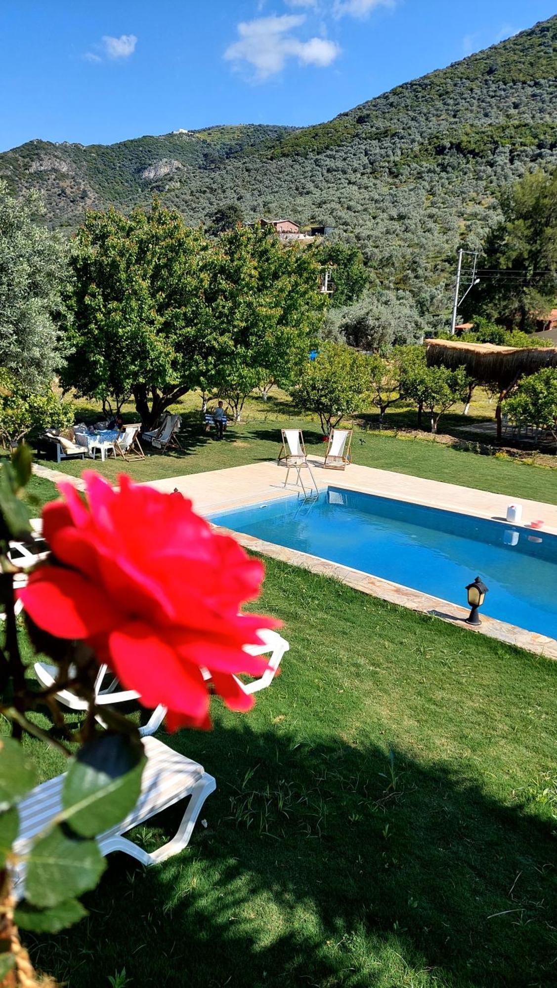 Pir Efes Konaklari * Izmir